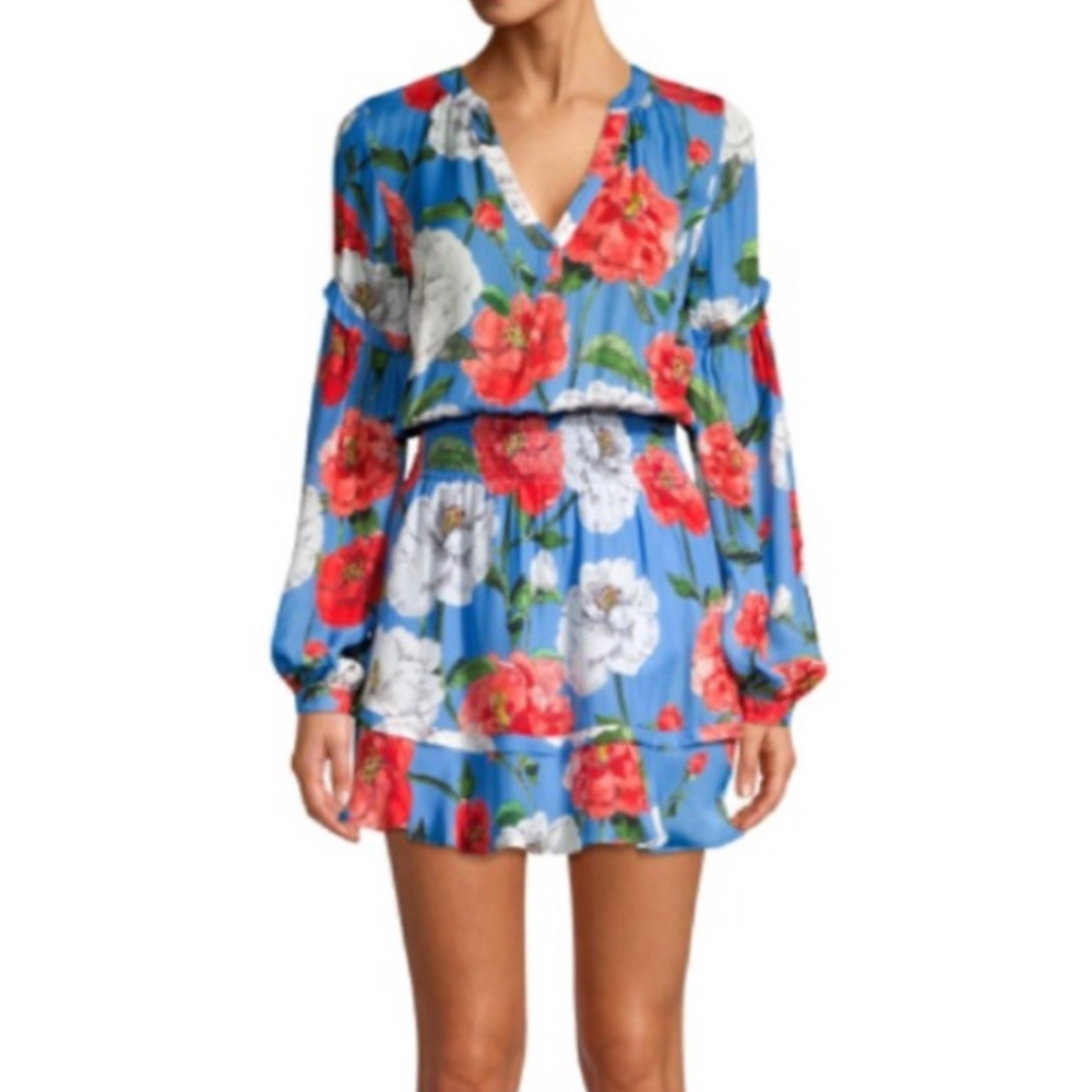 Parker Wildflower Print Floral Silk Dress